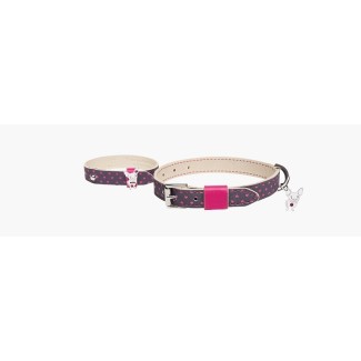 Paar Hundehalsband und Armband halten mich Chihuahua und Herzen