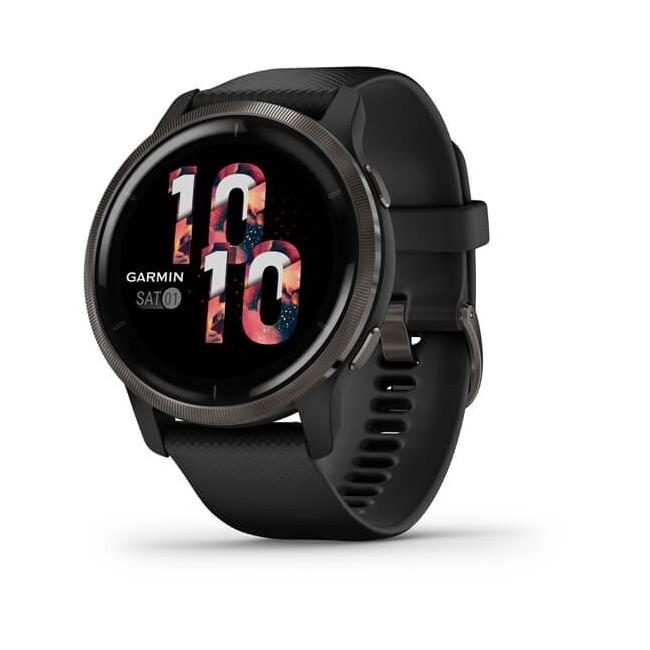 Garmin Venu2 Slate Smartwatch - Black 0100243011