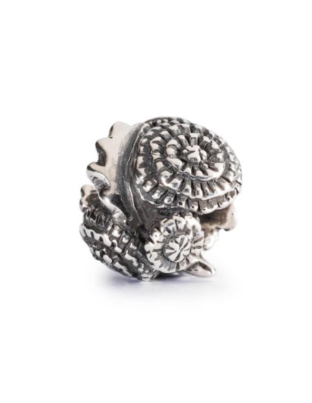 Löwenzahn-1004102005