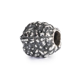 Tränen der Shiva-1004102003