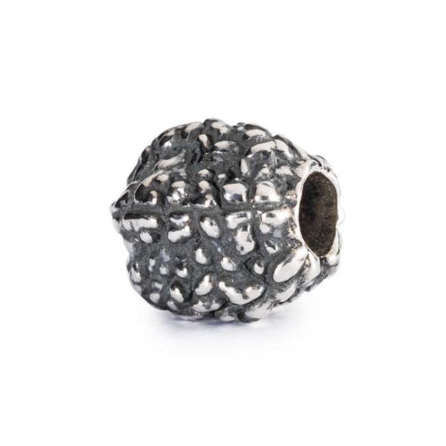 Tränen der Shiva-1004102003