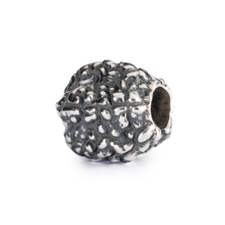 Tears of Shiva - 1004102003