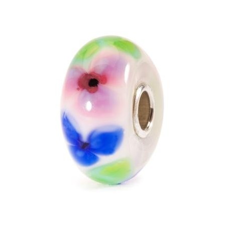 Anemone Francese - 61375