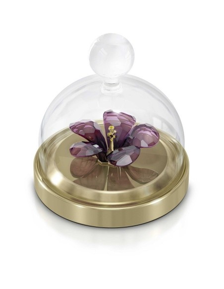Campana Swarovski con fiore ibisco su base dorata 5619224