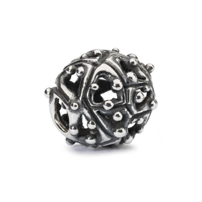 Trollbeads Sincerità in argento -TAGBE30147