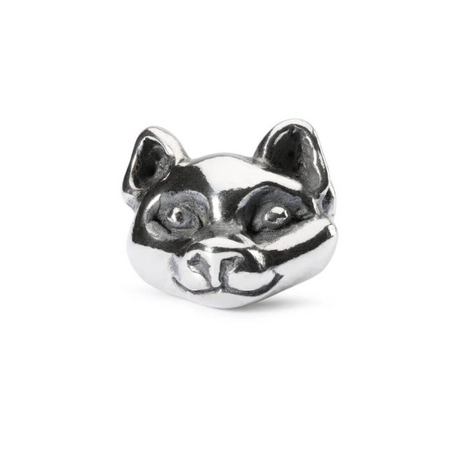 Trollbeads Cat's Eyes in silver - TAGBE20061