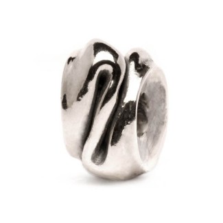 Trollbeads Verwandlung Silber -TAGBE40058
