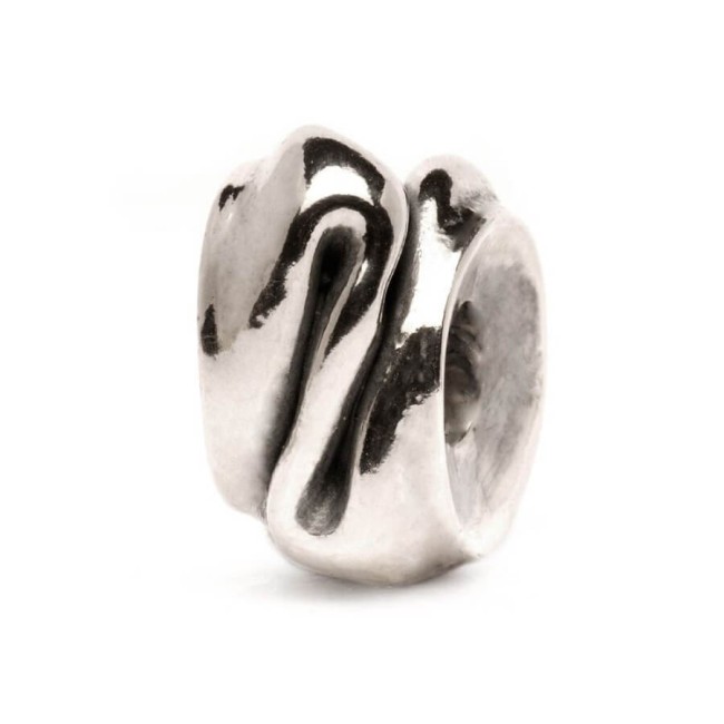 Trollbeads Verwandlung Silber -TAGBE40058