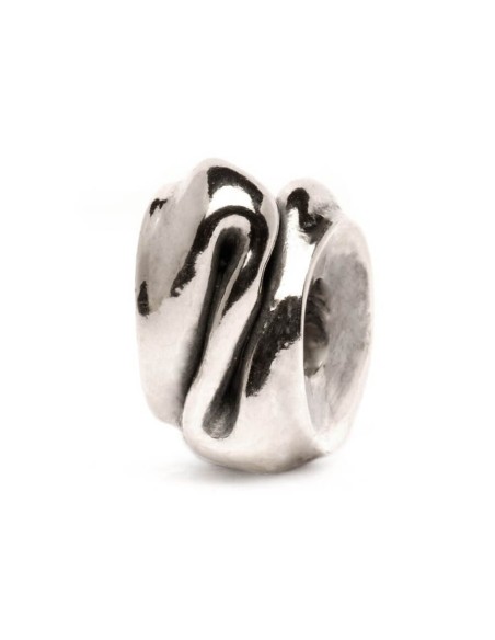 Trollbeads Verwandlung Silber -TAGBE40058