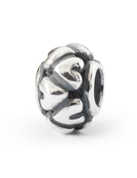 Trollbeads Silver Together -TAGBE20254