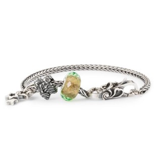 Trollbeads Unconditional Love Start Armband
