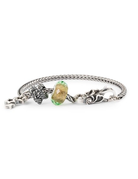 Trollbeads Unconditional Love Start Bracelet