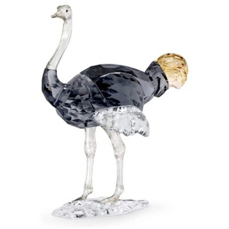 Swarovski Decoration Elegance of Africa Ostrich Makena - 5636302