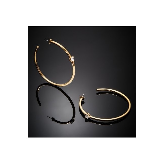 Maxi Hoop Neon Heart Earrings Chiara Ferragni J19AWD06