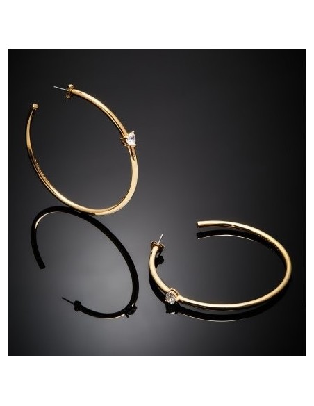 Maxi Hoop Neon Herz Ohrringe Chiara Ferragni J19AWD06