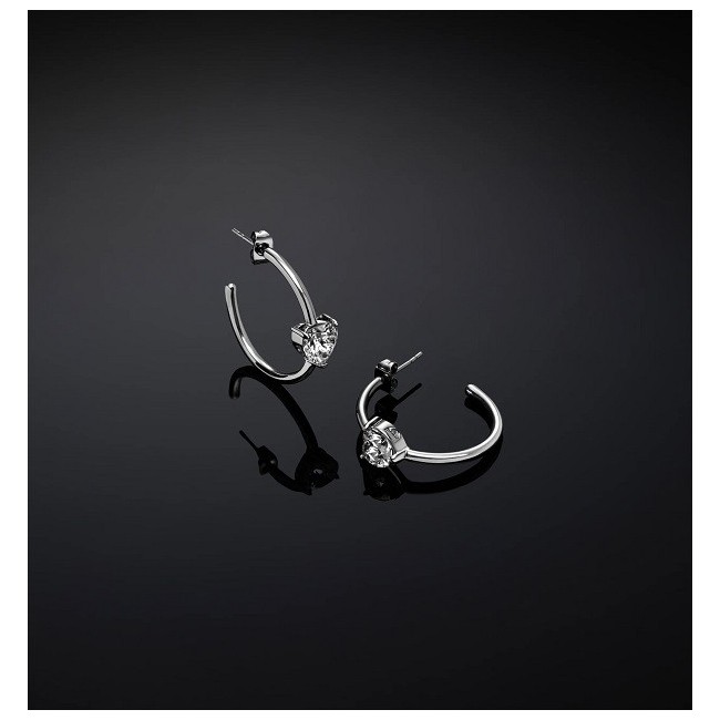 Chiara Ferragni First Love Herz-Kreis-Ohrringe J19AWJ08