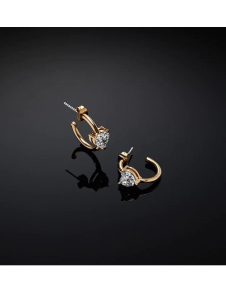 Chiara Ferragni First Love golden circle and heart earrings J19AWJ09