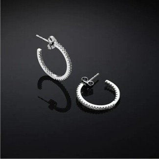 Orecchini Chiara Ferragni Silver cerchio zirconi  in argento J19AXD07
