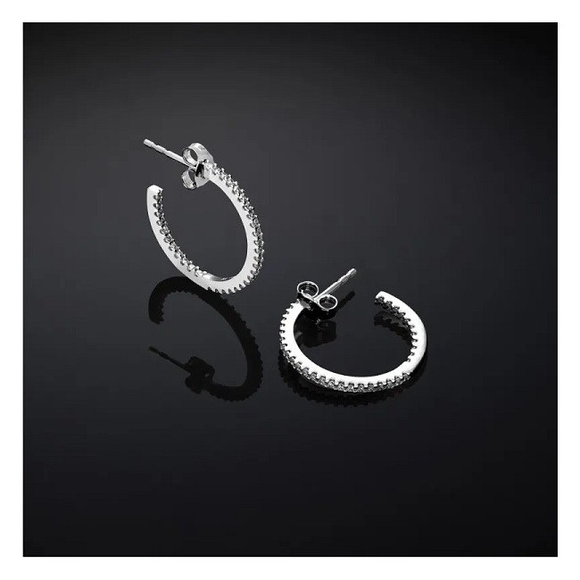 Chiara Ferragni Silver earrings with silver zircons circle J19AXD07
