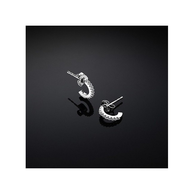 Orecchini mini cerchio Chiara Ferragni Silver - J19AXD09