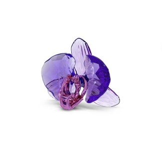 SCS Swarovski Idyllia Orchideendekoration – 5669354