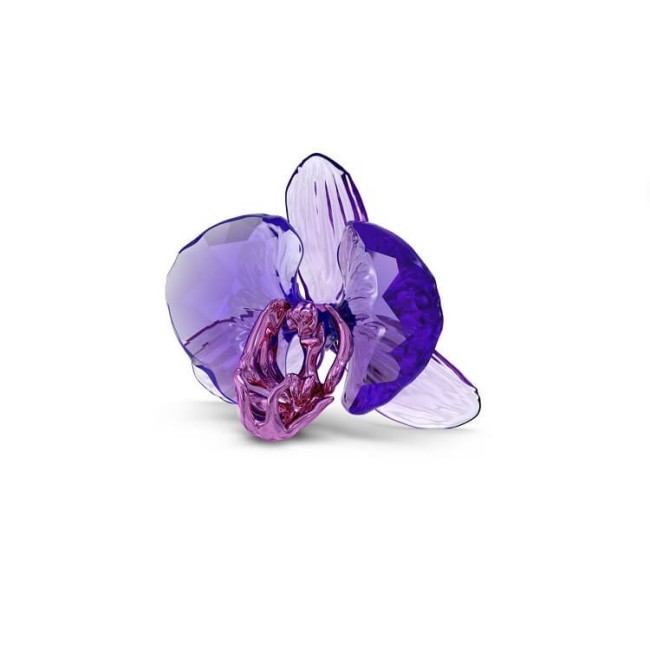 SCS Swarovski Idyllia Orchideendekoration – 5669354
