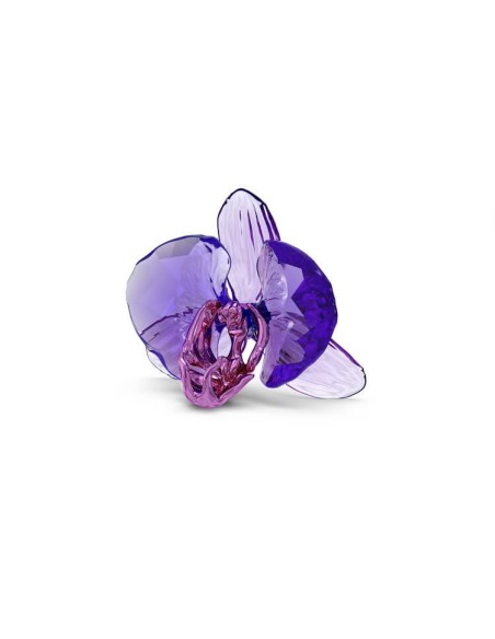 SCS Swarovski Idyllia Orchideendekoration – 5669354