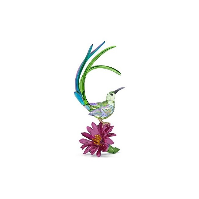 Decorazione Swarovski Idyllia Mangianettare e Fiore di Cactus - 5675166