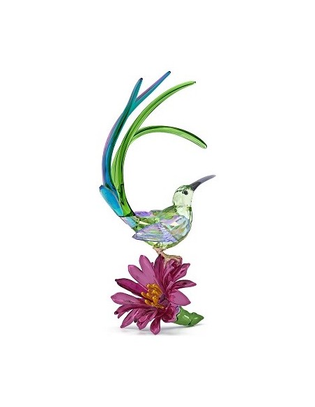Swarovski Idyllia Nectar Feeder and Cactus Flower Decoration - 5675166