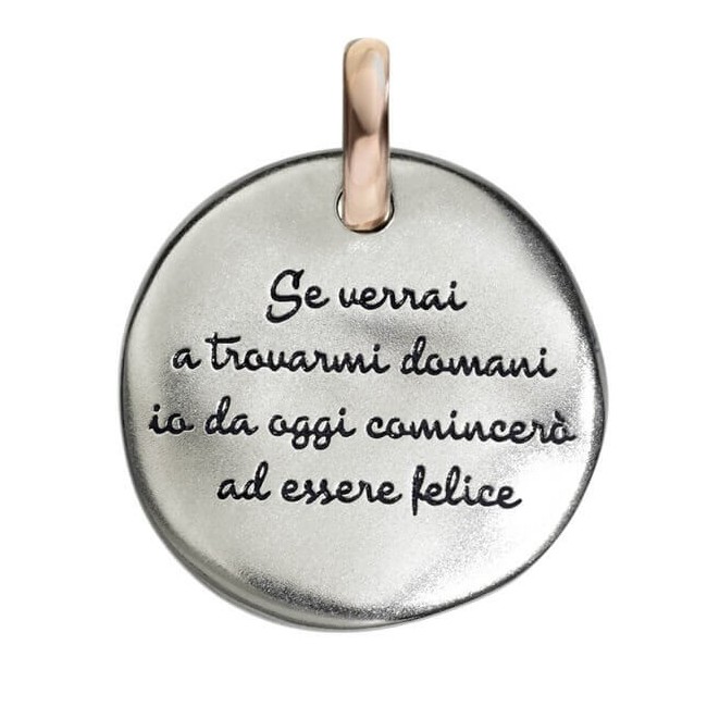 Small Coin Queriot Little Prince, If you come to visit me tomorrow