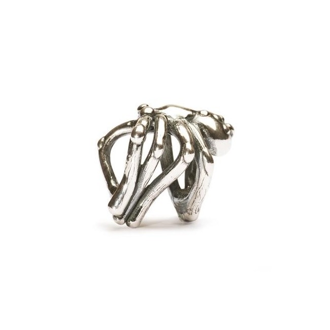 Ragno Porta Guadagno - 11281