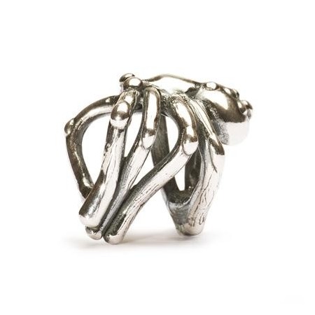 Tür Spinne Gewinn-11281