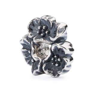 Cherry Blossom Perlen-11476