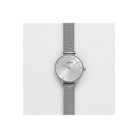 Skagen women's watch Anita silver steel-SKW2149