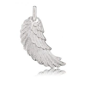 Neigung nach vorne Engelrufer-ERW-L2