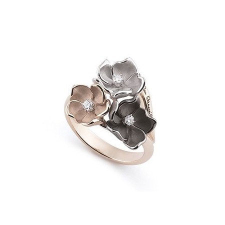 Strauß-Ring GAN1003