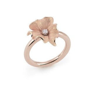 Anello Grace - GAN0835K