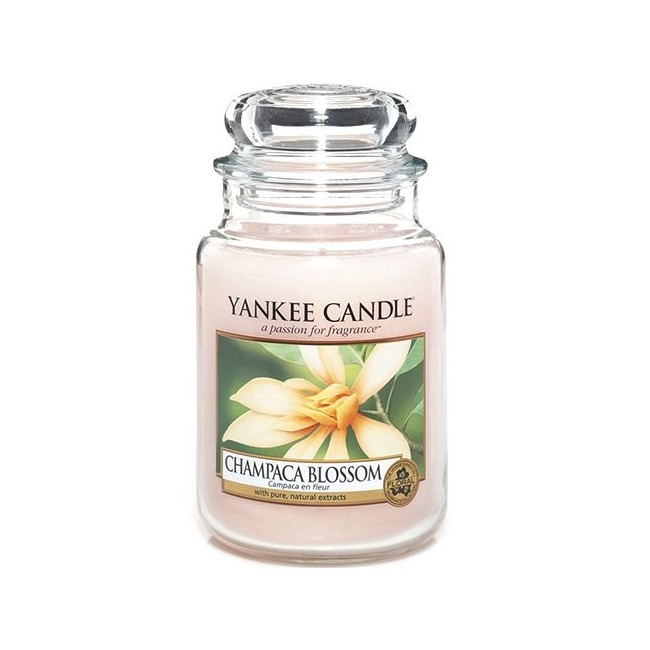 Yankee Candle Champaca Blossom großes Glas - 302673E