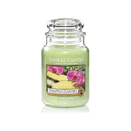 Candela Yankee Candle Pine Apple giara grande - 1174261E
